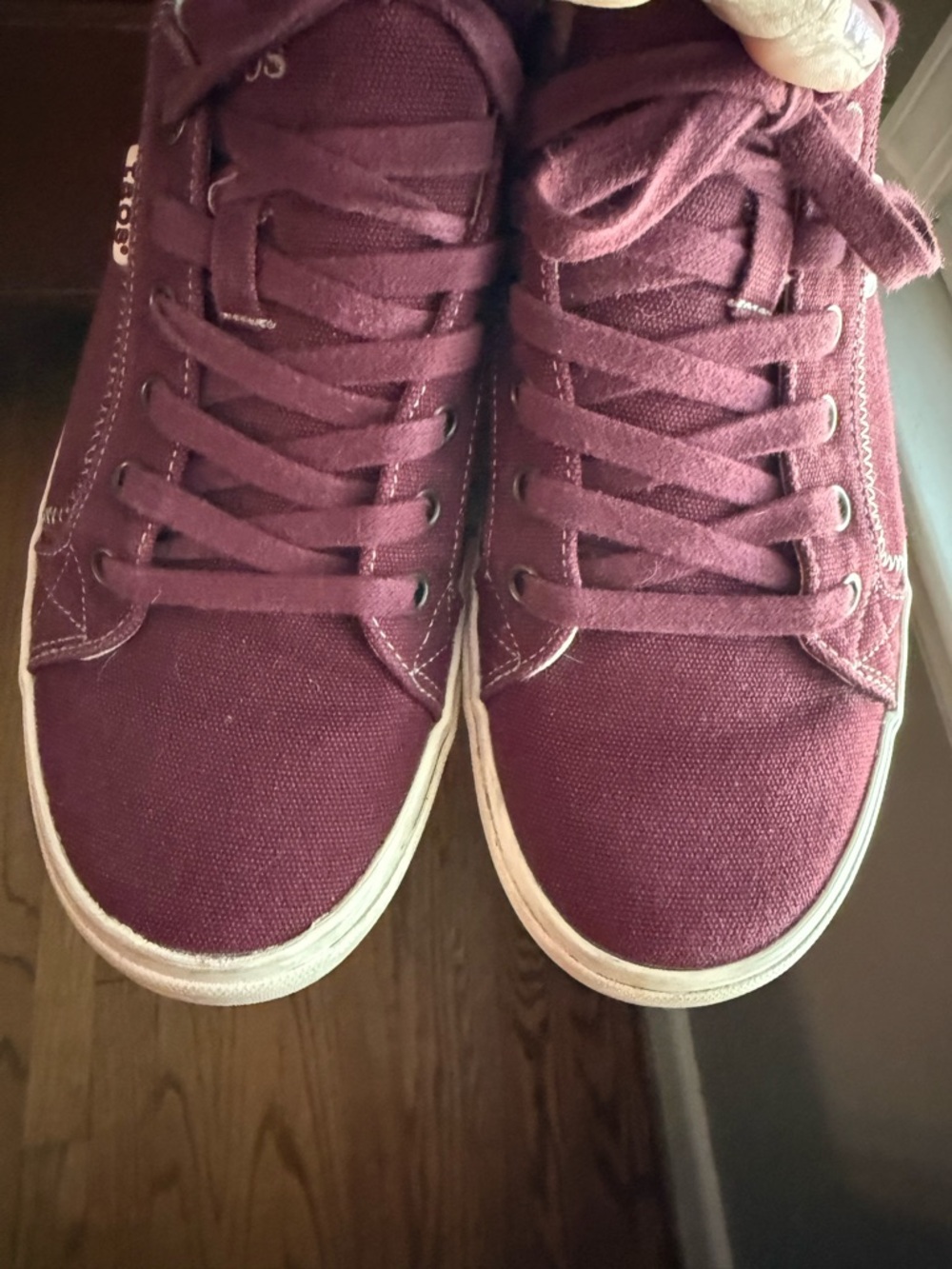 Taos Footwear Wine Sneakers